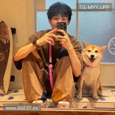 沈辉